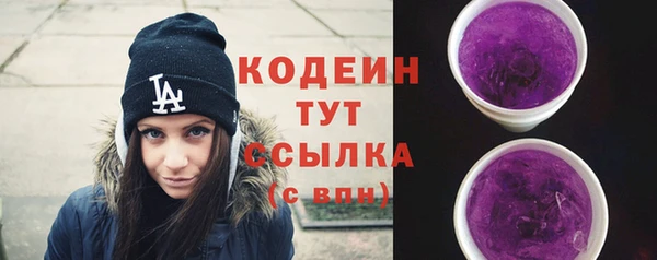 прущий лед Вяземский