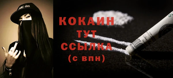 прущий лед Вяземский