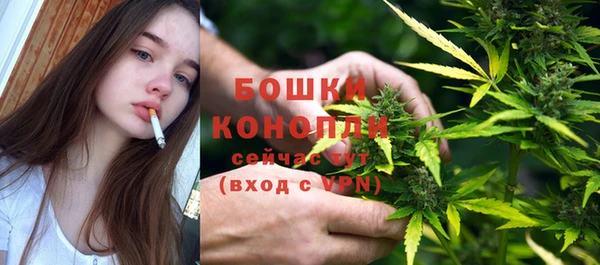 прущий лед Вяземский