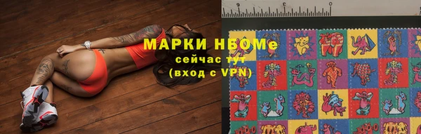 прущий лед Вяземский