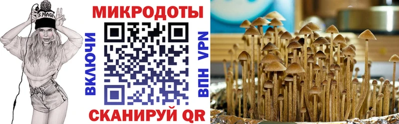 Купить где  Моздок  Псилоцибиновые грибы Psilocybine cubensis 